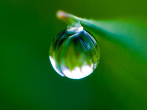 Droplet of water in focus